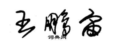 朱錫榮王鵬宙草書個性簽名怎么寫