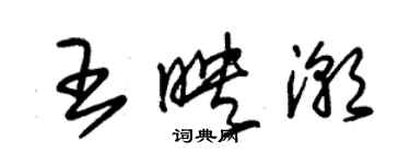 朱錫榮王映潮草書個性簽名怎么寫