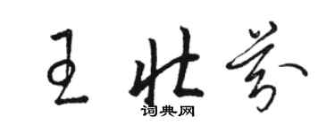 駱恆光王壯芬草書個性簽名怎么寫