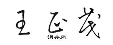 駱恆光王正茂草書個性簽名怎么寫