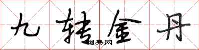 段相林九轉金丹行書怎么寫