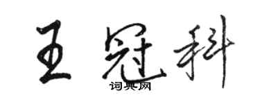 駱恆光王冠科行書個性簽名怎么寫