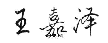 駱恆光王嘉澤行書個性簽名怎么寫