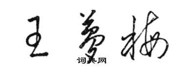 駱恆光王夢梅草書個性簽名怎么寫