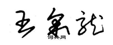 朱錫榮王采龍草書個性簽名怎么寫