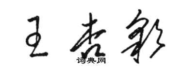 駱恆光王杏彩草書個性簽名怎么寫