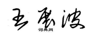 朱錫榮王展波草書個性簽名怎么寫