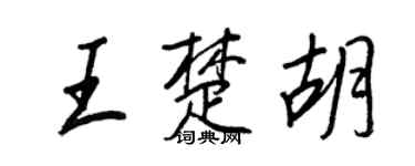 王正良王楚胡行書個性簽名怎么寫