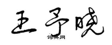 曾慶福王予曉草書個性簽名怎么寫