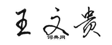 駱恆光王文貴行書個性簽名怎么寫