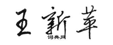 駱恆光王新苹行書個性簽名怎么寫