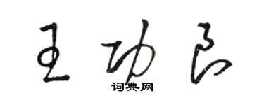 駱恆光王功良草書個性簽名怎么寫