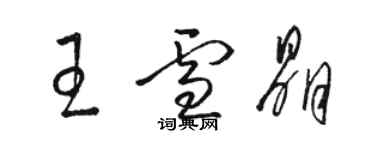 駱恆光王雪晶草書個性簽名怎么寫