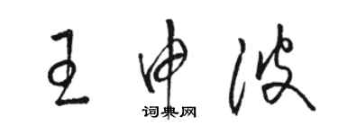 駱恆光王申波草書個性簽名怎么寫