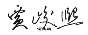 駱恆光賈峻熙草書個性簽名怎么寫