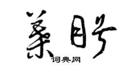 曾慶福葉盼草書個性簽名怎么寫