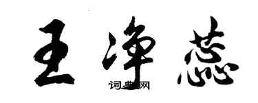 胡問遂王淨蕊行書個性簽名怎么寫