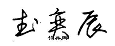 朱錫榮武奕辰草書個性簽名怎么寫