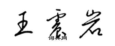 梁錦英王震岩草書個性簽名怎么寫