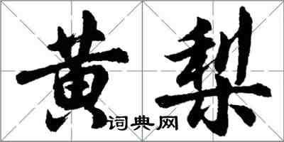 胡問遂黃梨行書怎么寫