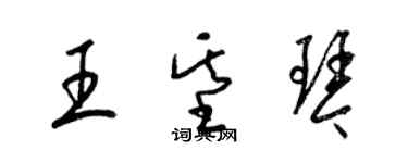 梁錦英王基琴草書個性簽名怎么寫