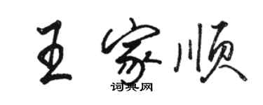 駱恆光王家順行書個性簽名怎么寫