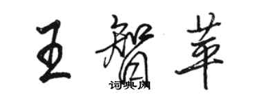 駱恆光王智苹行書個性簽名怎么寫