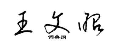 梁錦英王文昭草書個性簽名怎么寫