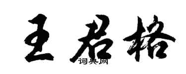 胡問遂王君格行書個性簽名怎么寫