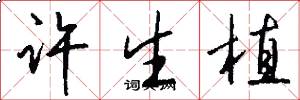 許生植怎么寫好看