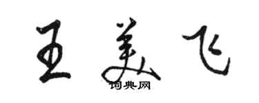 駱恆光王美飛行書個性簽名怎么寫