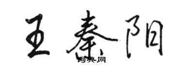 駱恆光王秦陽行書個性簽名怎么寫