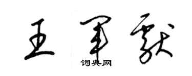 梁錦英王軍獻草書個性簽名怎么寫