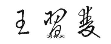 駱恆光王習雙草書個性簽名怎么寫