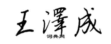 王正良王澤成行書個性簽名怎么寫