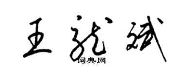 梁錦英王龍斌草書個性簽名怎么寫