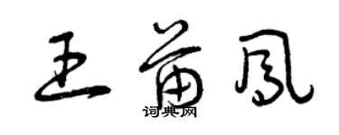 曾慶福王苗鳳草書個性簽名怎么寫