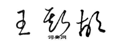 駱恆光王斯胡草書個性簽名怎么寫