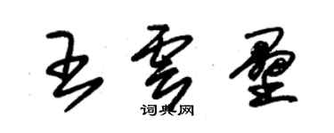 朱錫榮王雲壘草書個性簽名怎么寫
