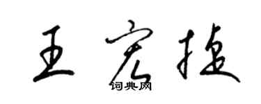 梁錦英王宏捷草書個性簽名怎么寫