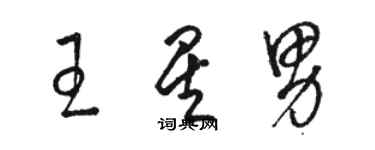 駱恆光王星男草書個性簽名怎么寫