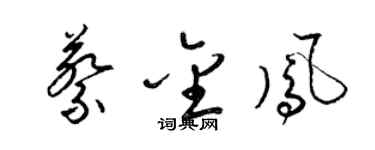 梁錦英蔡金鳳草書個性簽名怎么寫