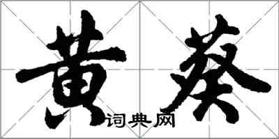 胡問遂黃葵行書怎么寫