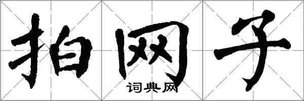 翁闓運拍網子楷書怎么寫