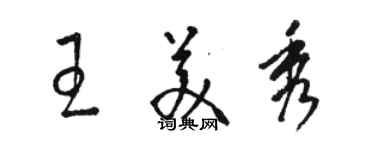 駱恆光王美秀草書個性簽名怎么寫