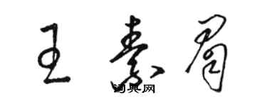 駱恆光王素眉草書個性簽名怎么寫