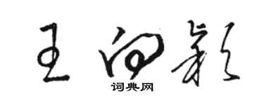 駱恆光王向穎草書個性簽名怎么寫