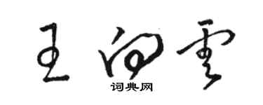 駱恆光王向雲草書個性簽名怎么寫