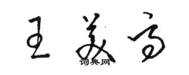 駱恆光王美高草書個性簽名怎么寫