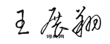 駱恆光王展翔草書個性簽名怎么寫